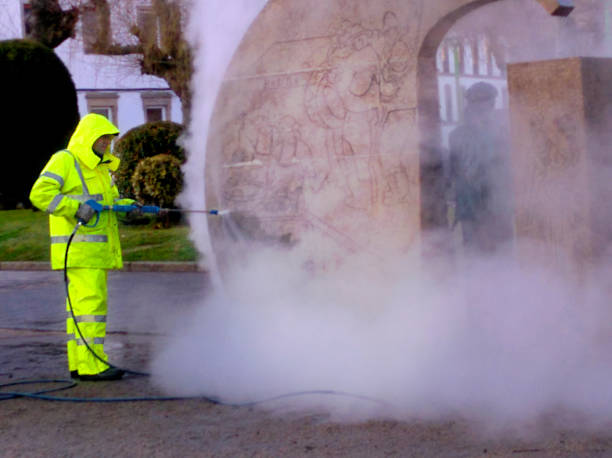 Best Affordable Power Washing  in Mount Olive, IL